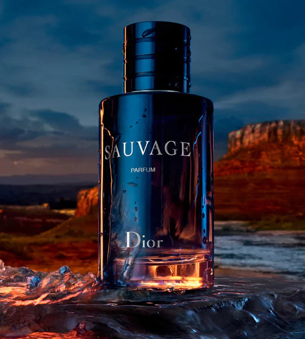 3 Perfumes Masculinos Importados (100ml) - 1 Million | 212 VIP BLACK | Sauvage Dior | (5 Anos Armazém do Perfume)